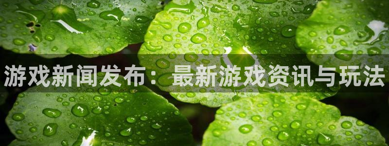 赢咖娱乐娱乐是真的吗：游戏新闻发布：最新游戏资讯与玩法