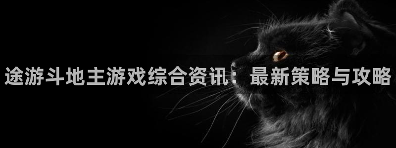赢咖娱乐科技：途游斗地主游戏综合资讯：最新策略与攻略