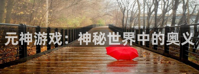 赢咖娱乐登录地址：元神游戏：神秘世界中的奥义