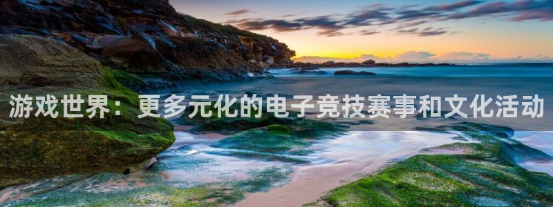 赢咖娱乐测速登陆：游戏世界：更多元化的电子竞技赛事和文化活动